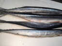 鱼跃船头特大秋刀鱼半成品无冰去鳃去内脏深海船冻锁鲜日料深海鱼商超同款 秋刀鱼600g*2 实拍图