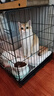 憨憨宠猫笼折叠猫笼子大号猫别墅加粗加密双层猫舍猫窝宠物猫咪用品家用 黑色 600双层 实拍图