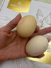 1号会员店One's Member Omega-3可生食标准鲜鸡蛋 30枚 单枚50g 源头直发 实拍图