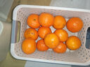 京喜加【25年鲜橙】云南冰糖橙新鲜采摘秋橙当季新鲜水果 带箱1斤55-60mm 实拍图