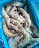鲜京采 厄瓜多尔白虾 净重3斤/盒 特大号20-30规格   30-45只/盒 实拍图