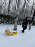 迈乐酷滑雪板儿童雪橇板冰车爬犁宝宝雪车滑草板单板雪爬犁雪橇车滑沙板 明亮黄玩雪小工具【雪球夹+铲子+坐垫】 加厚耐磨防侧翻双人小孩雪橇车 实拍图