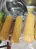 十月稻田 黄甜糯玉米 8根 3.52斤 真空包装 东北粘玉米棒 低脂早餐 实拍图