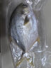 环球水产南海大金鲳鱼550g1条 BAP认证 海鱼水产 生鲜鱼类 火锅 烧烤海鲜 实拍图