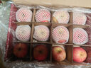 京鲜生 山东栖霞红富士苹果精品12粒 单果190g-240g  水果礼盒 实拍图