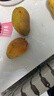 海南小台农芒果新鲜现摘小台芒应当季热带水果特产甜心熟芒果整箱 大果(更大更甜) 正宗海南小台芒5斤 实拍图