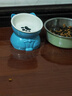 憨憨乐园猫碗陶瓷猫粮双碗斜口狗碗狗盆狗粮宠物幼猫咪吃饭食盆喝水喂食 实拍图