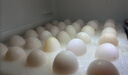 均鲜新鲜土鸽子蛋杂粮喂养农家特产白鸽蛋信鸽蛋孕妇宝宝年货节礼盒装 30枚610g左右精选鲜鸽蛋 实拍图