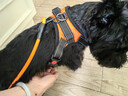 磊嘉狗绳狗链柯基防爆冲胸背带牵引绳中大型小型犬遛狗绳柴犬 暖橙色-胸背带1个配狗绳1根 M（建议12-22斤） 实拍图