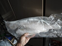 仙泉湖三去大白蕉海鲈鱼2斤/条净膛冷冻刺少肉厚海鲜水产生鲜食材 实拍图