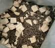 倍内菲猫粮全价冻干猫粮无谷猫粮成猫幼猫全期通用全价猫粮 鹿肉+三文鱼 （6.8kg） 实拍图