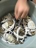 【活蟹】漁家师傅大闸蟹全母3.5-3.8两8只 去绳足重鲜活螃蟹现货生鲜年货礼盒 源头直发 实拍图