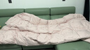 罗莱家纺 羽绒被 A类95%水洗鹅绒被子保暖冬被芯 约5.2斤粉 实拍图
