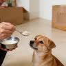 汪爸爸羊奶粉狗犬用幼犬成犬小狗比熊金毛狗狗专用营养补充剂宠物奶粉 羊奶粉1盒+小型犬奶糕粮1kg 实拍图