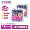 佳沃（JOYVIO） 云南蓝莓甜蜜花香系列 14mm+ 2盒装 约125g/盒 新鲜水果  实拍图