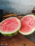 京鲜生 麒麟无籽西瓜 1粒装 单果7-9斤 生鲜水果 实拍图