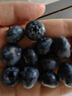 怡颗莓Driscoll's当季新鲜云南蓝莓14mm+ 4盒装 约125g/盒 京东超市水果 实拍图