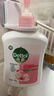 滴露（Dettol）洗手液滋润500g*6 抑菌洗手液家庭装大桶儿童消毒无酒精温和护手 实拍图