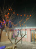梦选（MENGXUAN）春节太阳能柿子灯串阳台布置庭院灯带户外喜庆氛围灯led灯装饰灯 【柿柿如意】灯笼串丨太阳能灯丨2026新款 免布线丨防水丨晚上自动亮丨10米36灯 实拍图