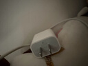 Apple/苹果 20W USB-C充电器  type-c充电器苹果手机充电器原装手机快充头 苹果17手机充电器 实拍图