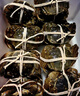 【活蟹】苏状元鲜活大闸蟹现货公5.0-5.3母4.0-4.3两 5对10只螃蟹年货海鲜礼盒源头直发 实拍图