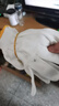 星工劳保手套棉纱线手套防滑耐磨加厚工作干活手套20付XGS-X5 实拍图