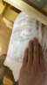 帮宝适超薄透气清新帮拉拉裤新生儿婴儿尿不湿尿片透氧Pro XXL68 实拍图