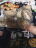 江船长 冷冻鲍鱼 净重160g(10-15粒)袋装 火锅烧烤食材 海鲜生鲜  实拍图