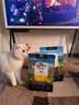 滋益巅峰（ZIWI）无谷风干马鲛鱼羊肉猫粮1kg*2成猫幼猫通用新西兰 实拍图