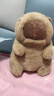 卡皮巴拉毛绒玩具公仔儿童生日礼物女孩情人节礼物水豚毛绒玩偶 卡皮巴拉公仔 1个装（新人专享） 实拍图