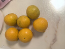 青舞正宗广东德庆皇帝柑贡柑新鲜水果精选大果非沃橙橘桔子装孕妇水果 10斤礼盒装精选大果（净9.2斤） 实拍图