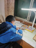戴尔护眼台灯学生学习书桌普瑞阅读灯防近视宿舍磁吸酷毙灯[政府补贴] 实拍图