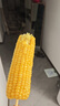 十月稻田 黄甜糯玉米 8根 3.52斤 真空包装 东北粘玉米棒 低脂早餐 实拍图