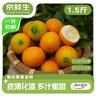 京鲜生 广西脆蜜金桔1.5斤装 单果13g起 生鲜水果 源头直发包邮 实拍图