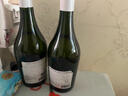 星空莫斯卡托智利原瓶进口起泡酒瓦蒂维索石斑鱼莫斯卡托香槟瓶750ml 实拍图
