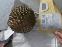 趣尝鲜猫山王榴莲马来西亚D197液氮冷冻净重3.0-3.5斤/个 实拍图