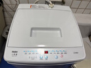 Haier海尔洗衣机波轮神童6.5/8公斤一级洗衣机全自动小型家用租房宿舍 智能称重量 桶自洁 以旧换新补贴 一级能效 波轮 7.2kg 浸泡洗+桶自洁+一键速洗 实拍图