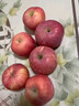 京鲜生 烟台红富士苹果 净重8斤  单果230g起 水果礼盒 实拍图