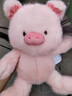 名创优品（MINISO）福莉丝猪系列-乖乖坐姿公仔毛绒玩具玩偶抱枕娃娃生日礼物女 实拍图