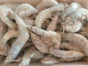卖鱼郎先生青岛盐冻大虾净重3.6斤 10-15只/斤 白虾大虾基围虾生鲜 虾类 实拍图