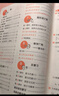 文轩【全新上市】2026版53天天练一二三四五六年级下上册人教北师苏教西师外研北京版语文数学英语教材同步随堂练习册曲一线5.3同步训练人教版五三天天练5+3 数学 人教版 六年级上册【2026秋】 实拍图
