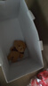 Colaivkloia十二生肖星月项链女银本命年时尚饰品锁骨链情人节生日礼物送女友 十二生肖星月项链【龙】 实拍图