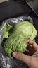 高原夏菜新鲜包菜卷心菜绿甘南菜甘蓝圆白菜时令蔬菜健康营养早餐 1.5斤-2斤高端标准菜 实拍图
