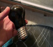 龟真寿夜光加热灯 50W  爬宠UVA夜灯仿月光 乌龟晒背灯 爬宠箱加温灯 实拍图