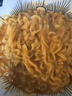 三养（SAMYANG）火鸡面三养速食方便面袋装 700g(140g*5)泡面拌面早餐零食 实拍图
