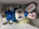 迪士尼（Disney）疯狂动物城朱迪斜挎包兔子玩偶包毛绒玩具娃娃女孩生日礼物女朋友 实拍图