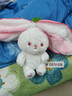尚韵六一儿童情人节生日礼物女生草莓兔子玩偶娃娃毛绒玩具女孩公仔 实拍图