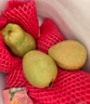 京觅福建红心芭乐 番石榴 应季 低糖孕妇水果 单果150g 净重3斤装 实拍图
