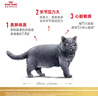 皇家猫粮 英短成猫粮 BS34 通用粮 12月以上 10KG 实拍图