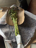 沭之美转运竹水培植物绿植花卉 转运竹高约50cm10支不含瓶 源头直发 实拍图